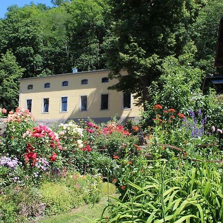 Ferienwohnung Goldgrund Meißen Esterno foto