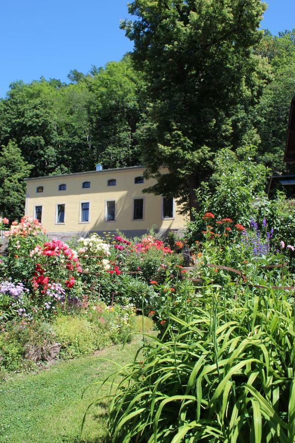 Ferienwohnung Goldgrund Meißen Esterno foto